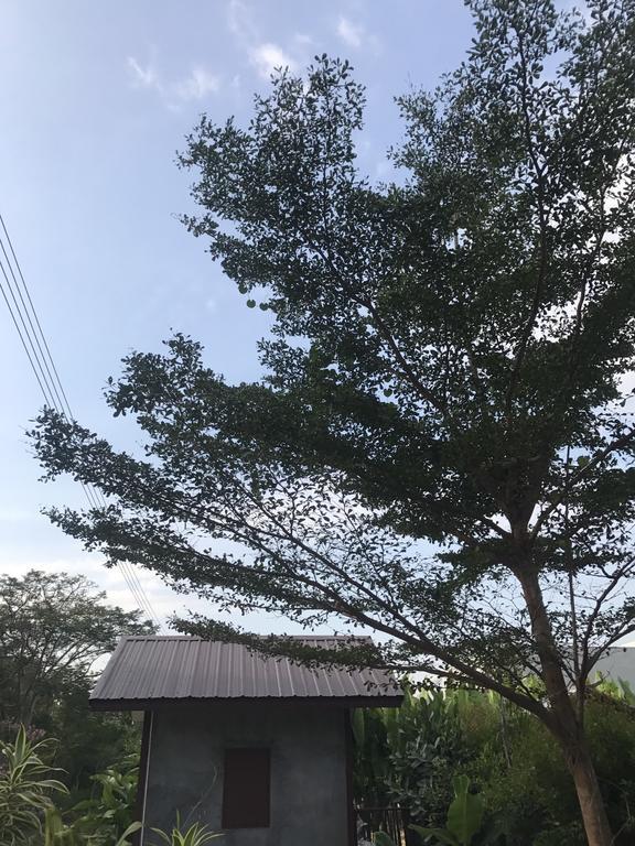 Jim Guesthouse 칸차나부리 외부 사진